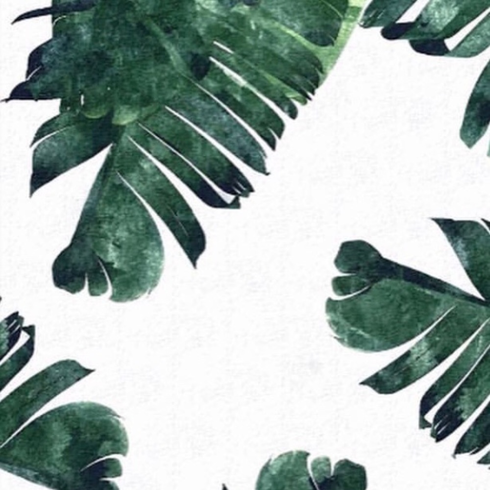 Meet your Posher, Ava